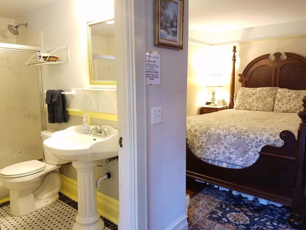 Lion'S Inn Bed And Breakfast 新奥尔良 外观 照片