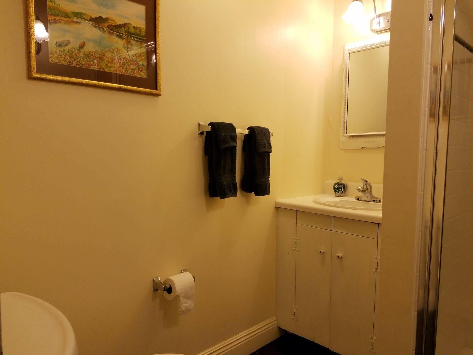 Lion'S Inn Bed And Breakfast 新奥尔良 外观 照片